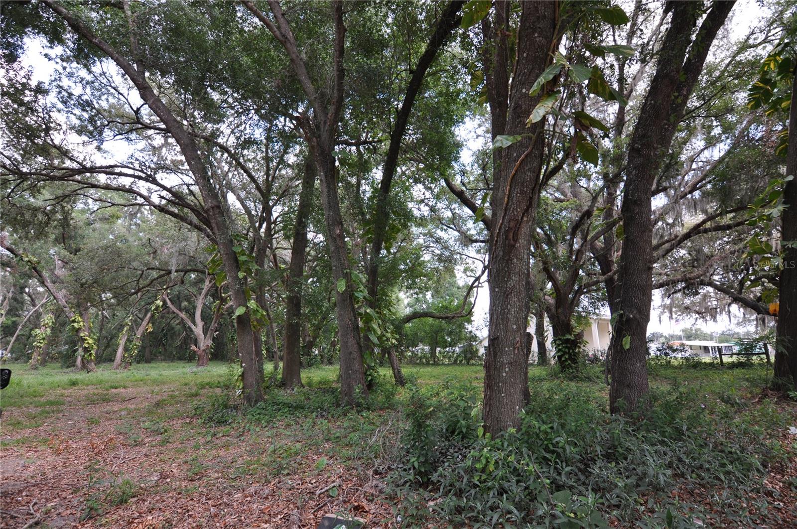 6734 20TH ST, ZEPHYRHILLS, FL — photo 6