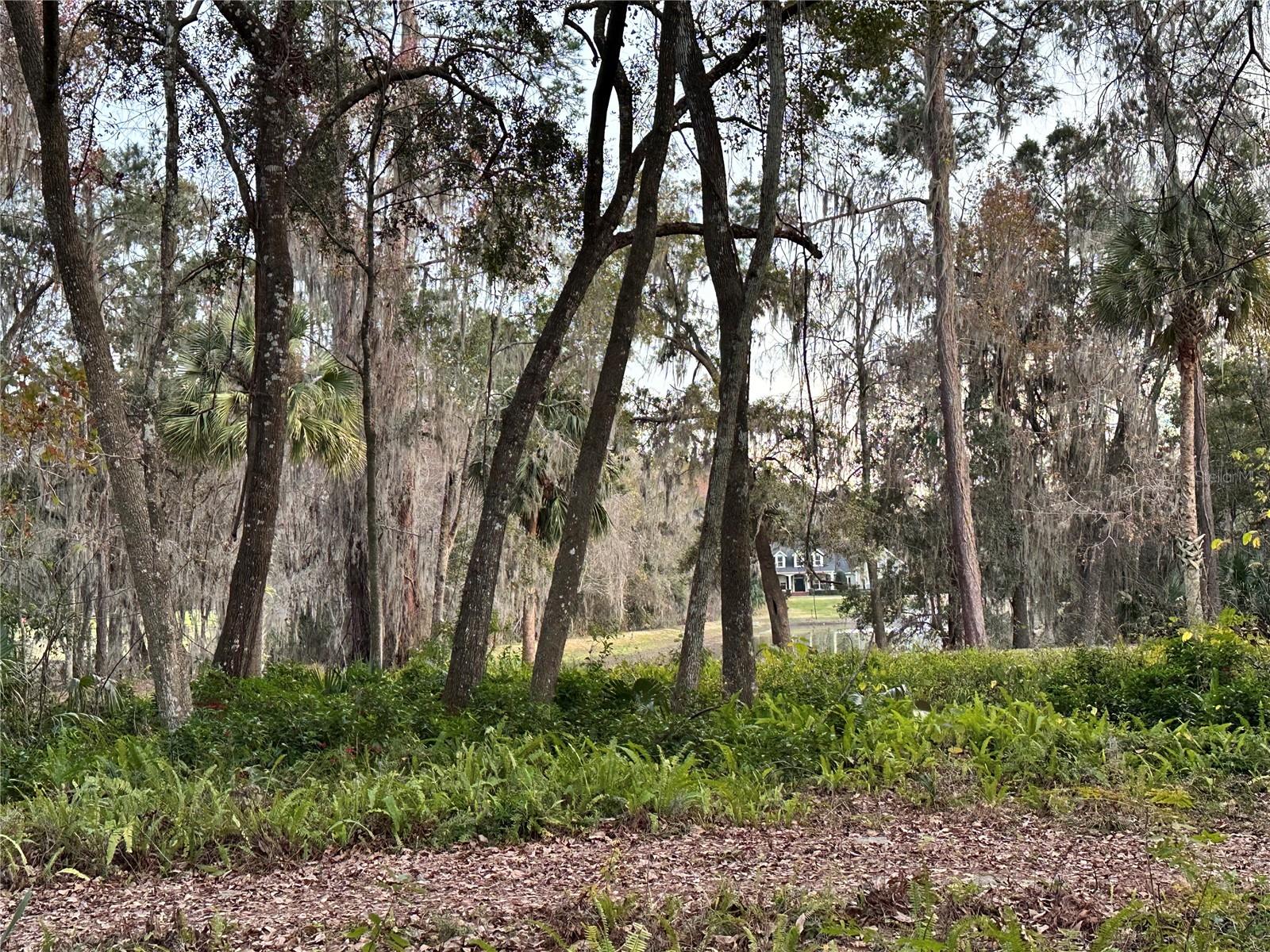 4305 SW 20TH AVE, OCALA, FL — photo 59