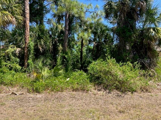 5016 TREASURE LN, LABELLE, FL — photo 2