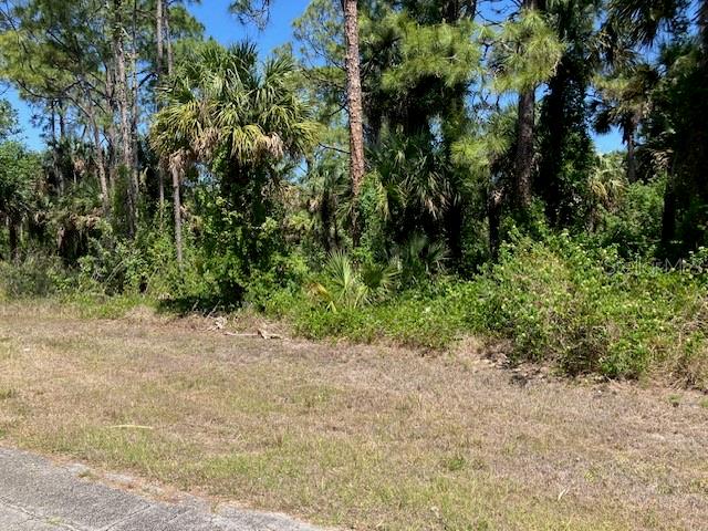 5016 TREASURE LN, LABELLE, FL — photo 4