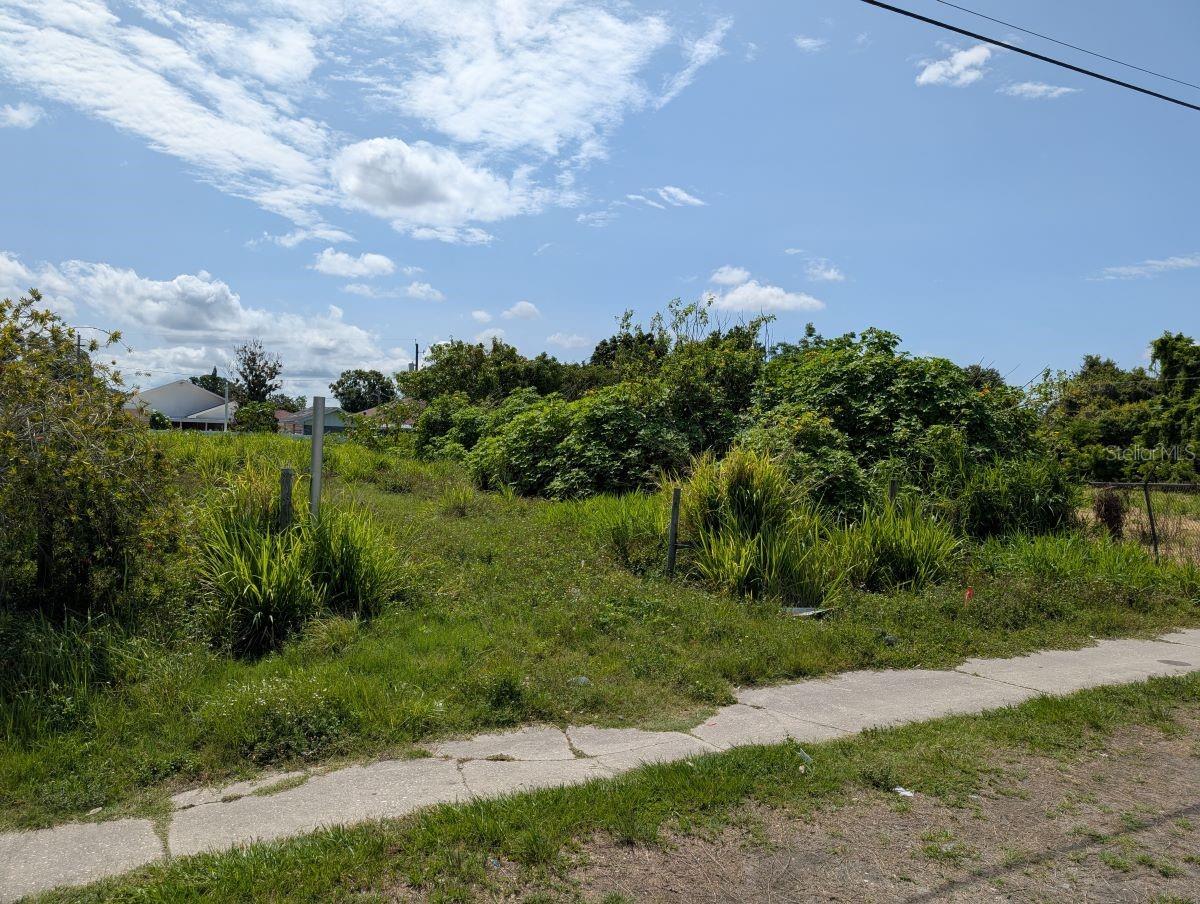 7007 N MANHATTAN AVE, TAMPA, FL — photo 2