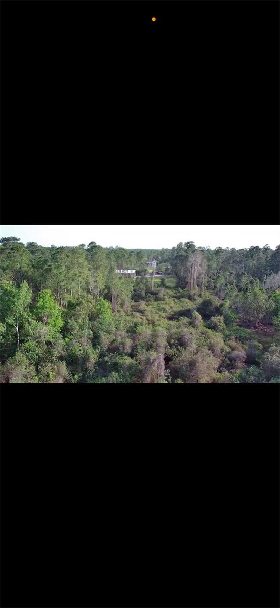 4150 QUAIL NEST LN, NEW SMYRNA BEACH, FL — photo 7