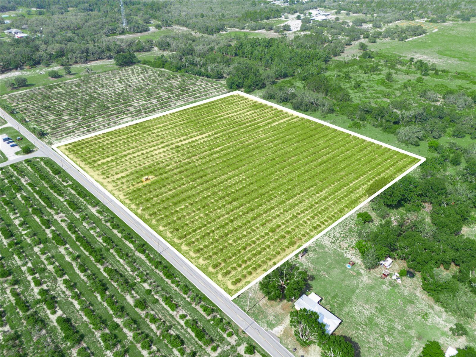0 HOPSON RD, FROSTPROOF, FL — photo 3