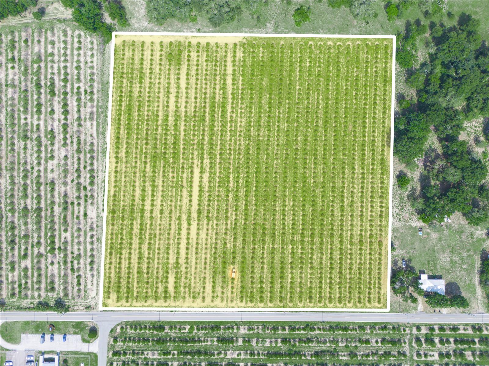 0 HOPSON RD, FROSTPROOF, FL — photo 7