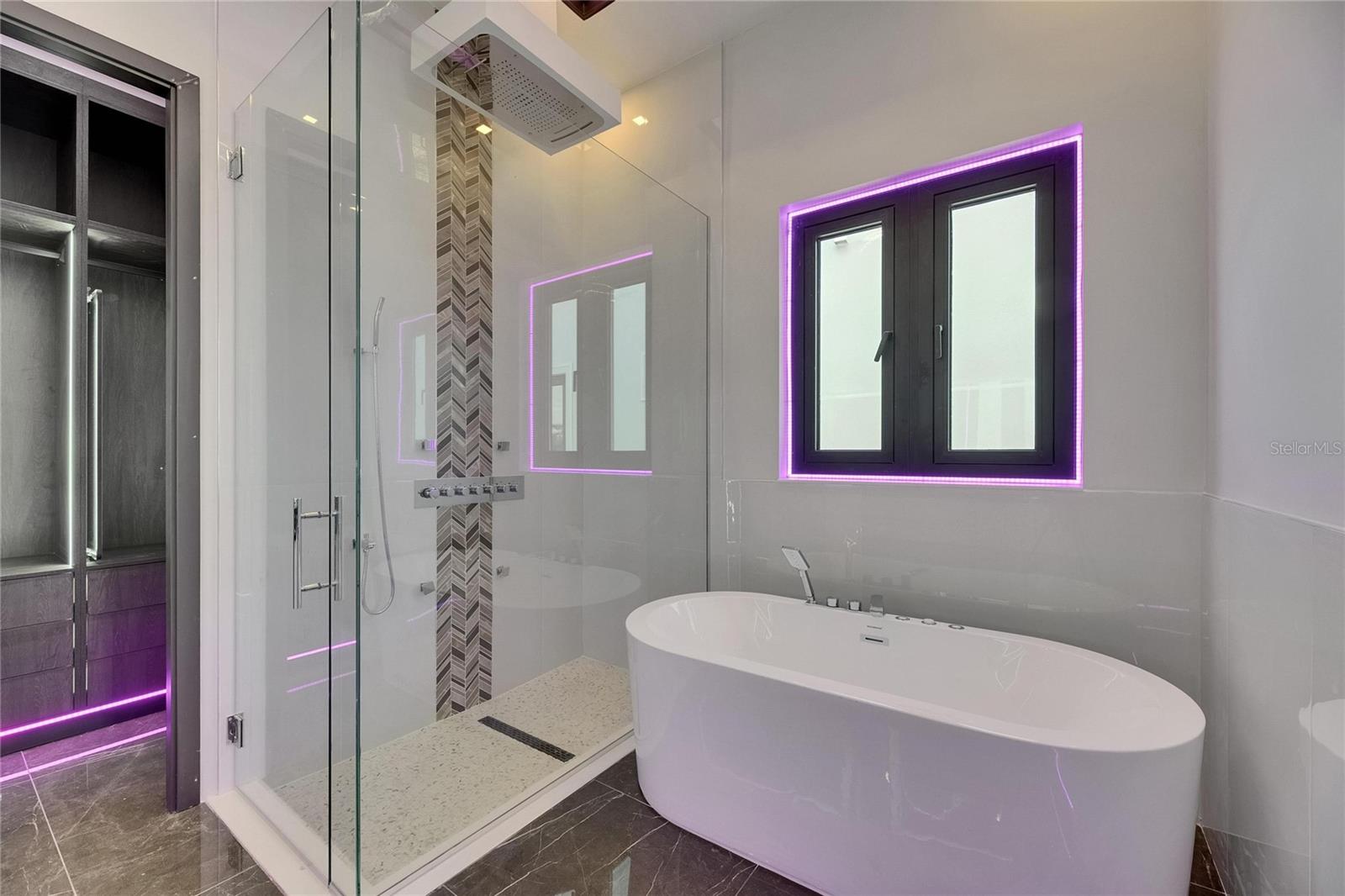 6532 SIMONE SHORES CIR, APOLLO BEACH, FL — photo 52