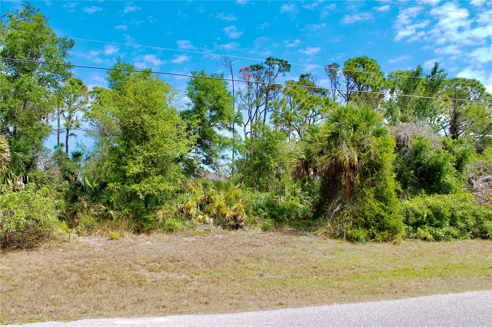118 CABLE DR, ROTONDA WEST, FL