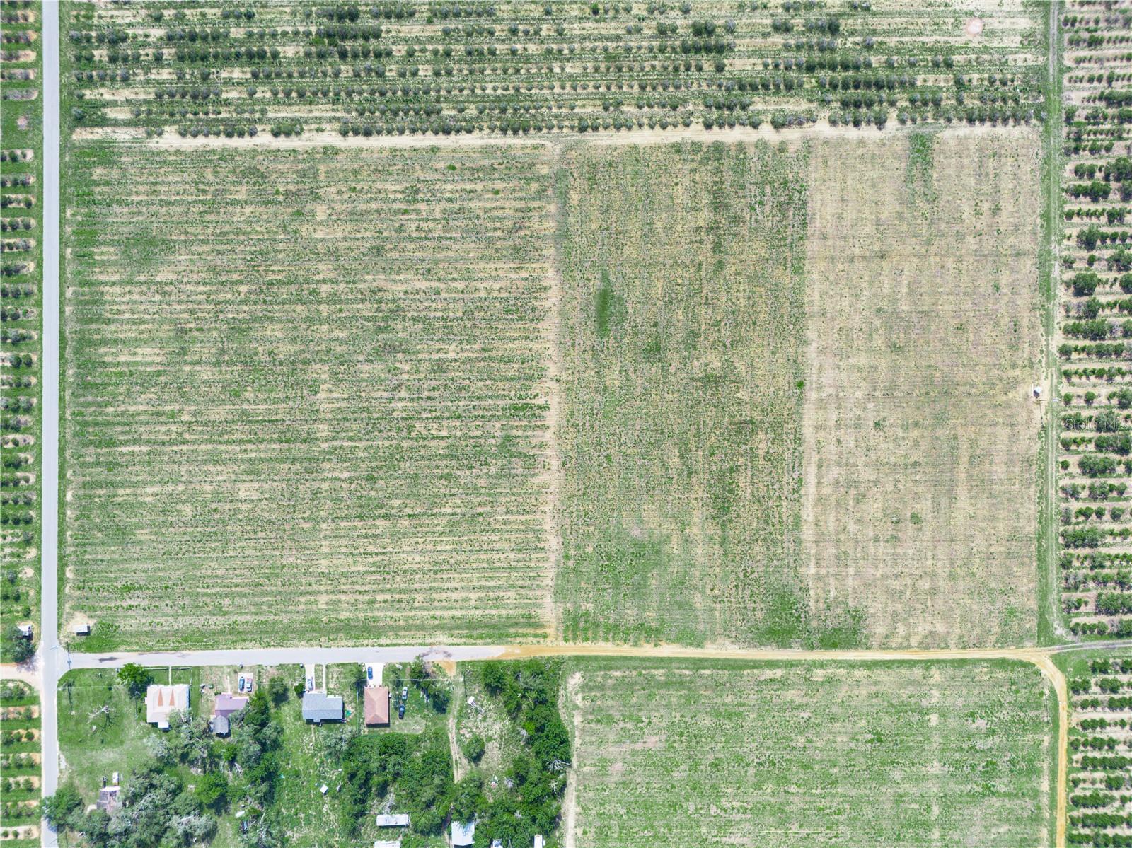 MAXCY QUARTERS RD, FROSTPROOF, FL — photo 6