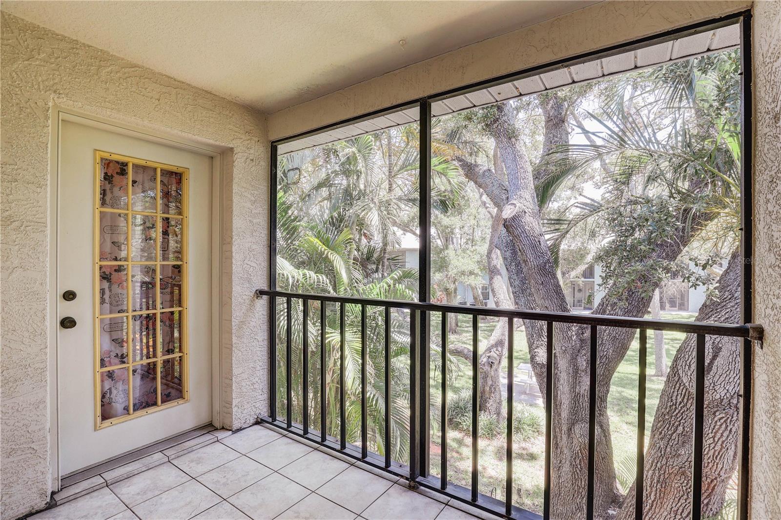 11800 PARK BLVD #208, SEMINOLE, FL — photo 28