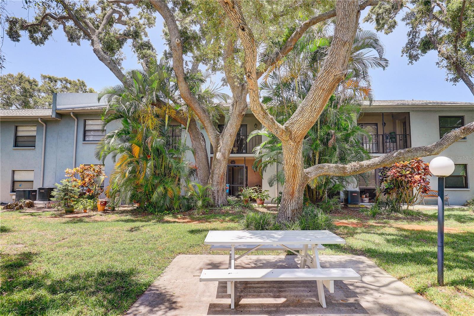 11800 PARK BLVD #208, SEMINOLE, FL — photo 30