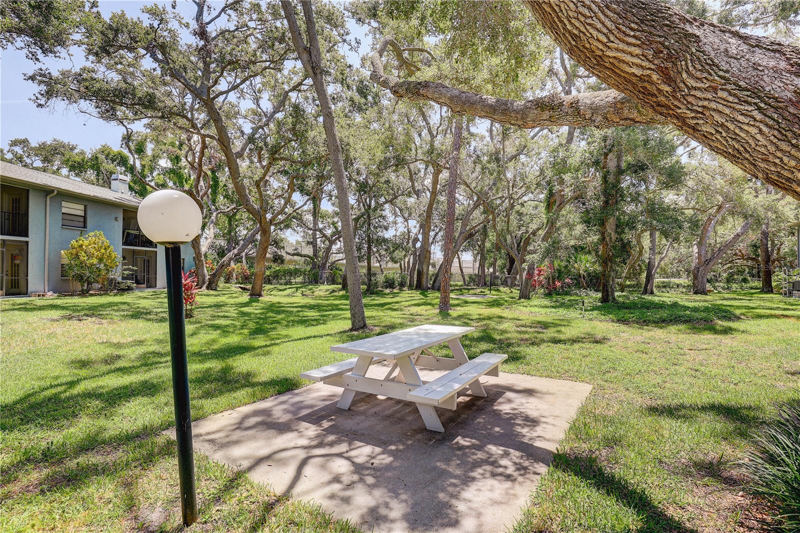 11800 PARK BLVD #208, SEMINOLE, FL — photo 31