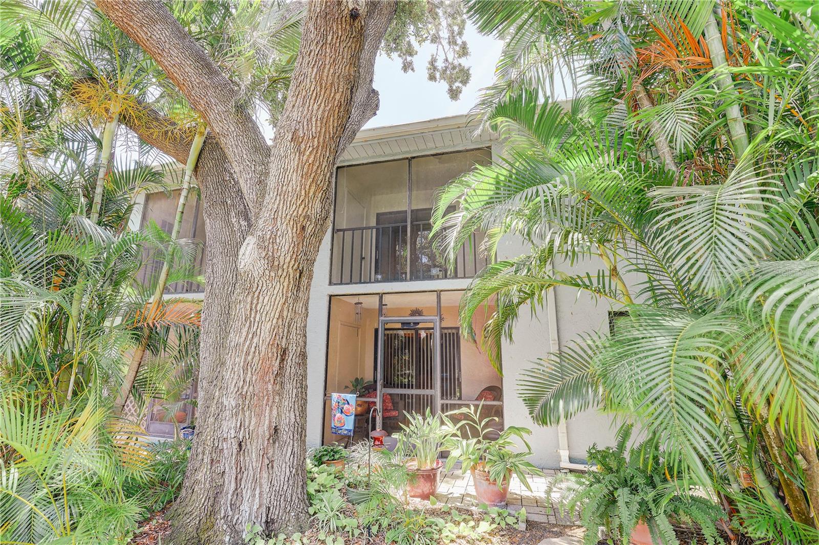 11800 PARK BLVD #208, SEMINOLE, FL — photo 32