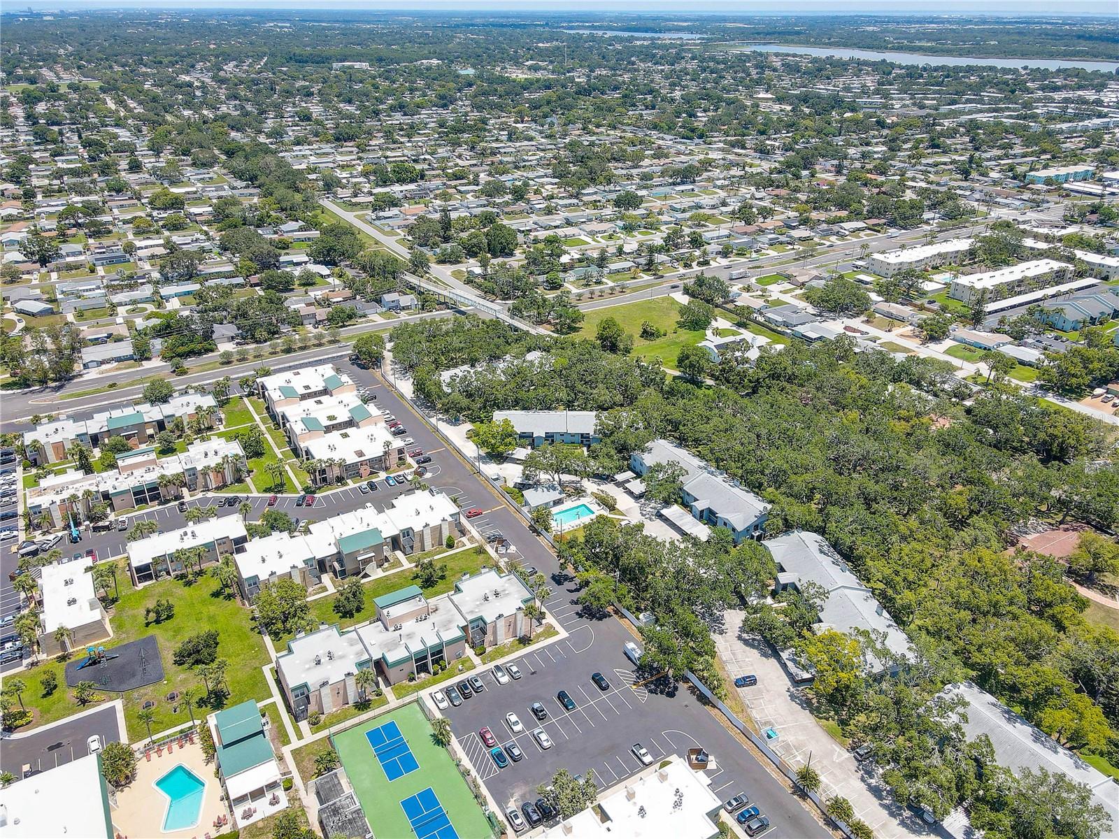 11800 PARK BLVD #208, SEMINOLE, FL — photo 36