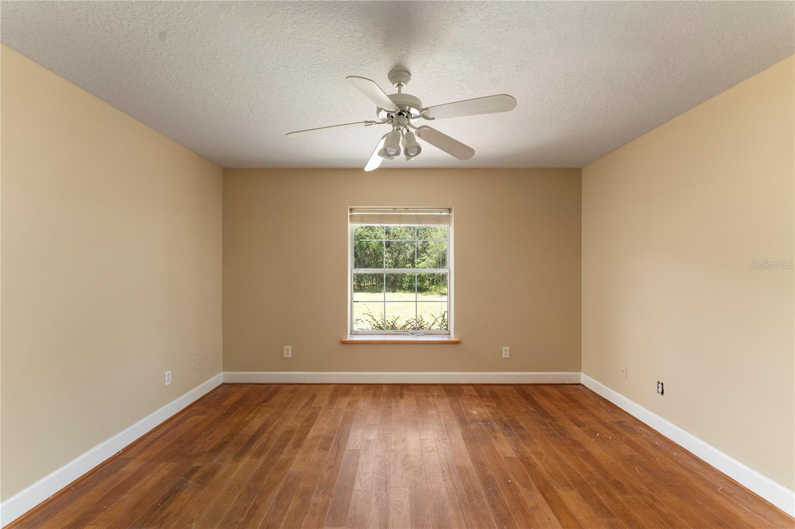 16017 JOHNS LAKE RD, CLERMONT, FL — photo 54