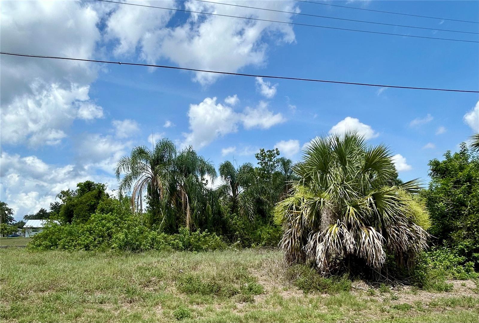 3273 SANTA BARBARA DR, PUNTA GORDA, FL — photo 5