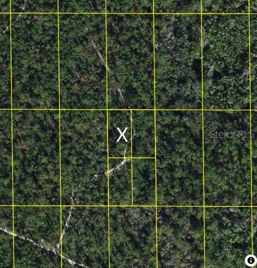 SR-60, LAKE WALES, FL