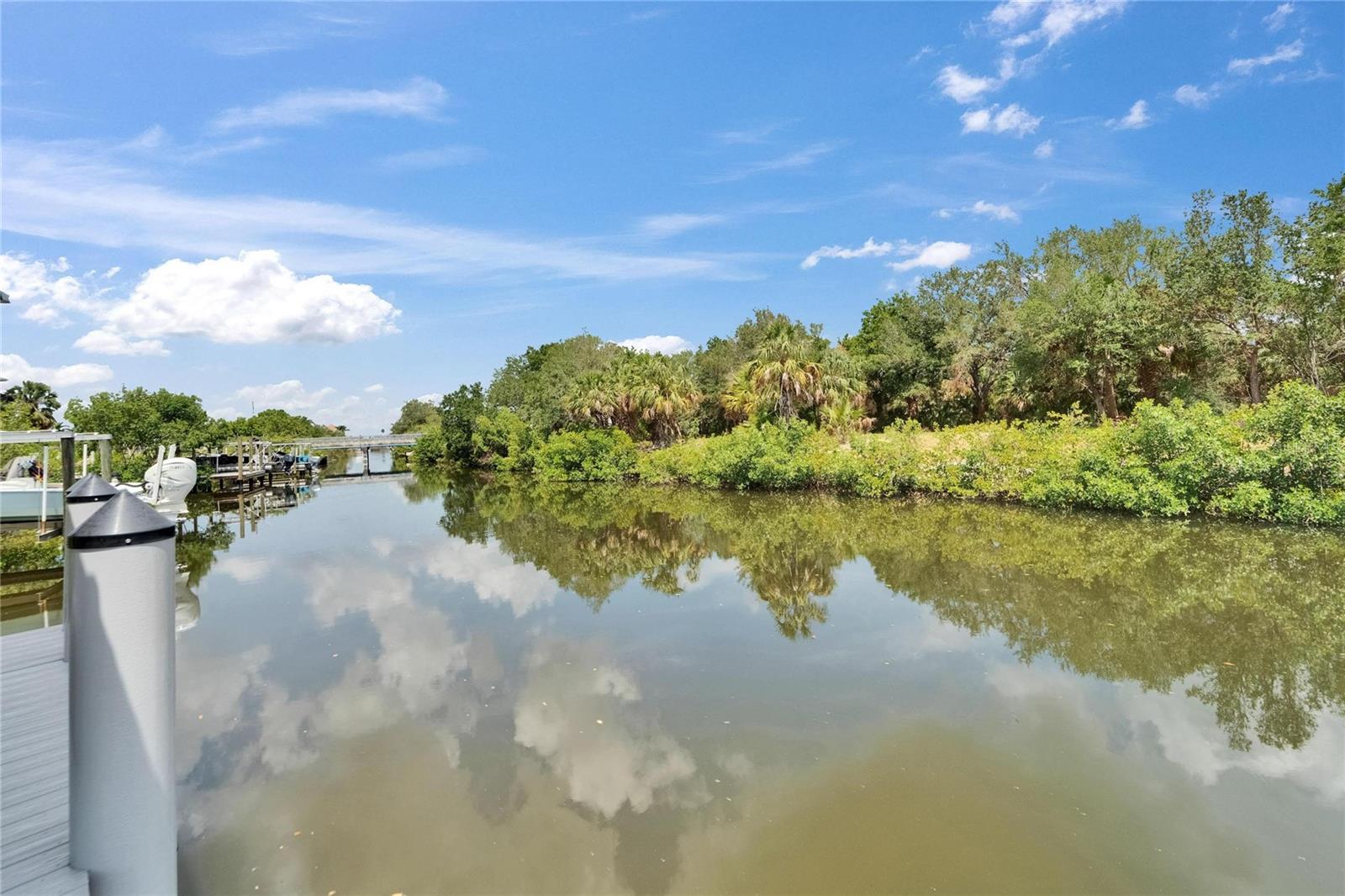 6520 SIMONE SHORES CIR, APOLLO BEACH, FL — photo 85