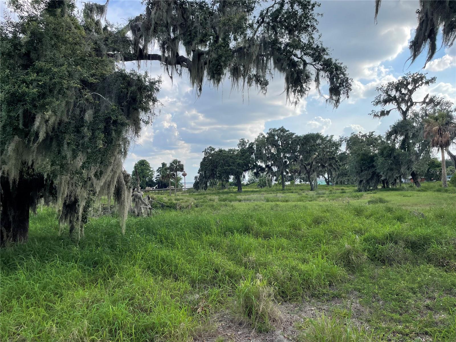 32311 ANGLERS AVE, LEESBURG, FL — photo 11