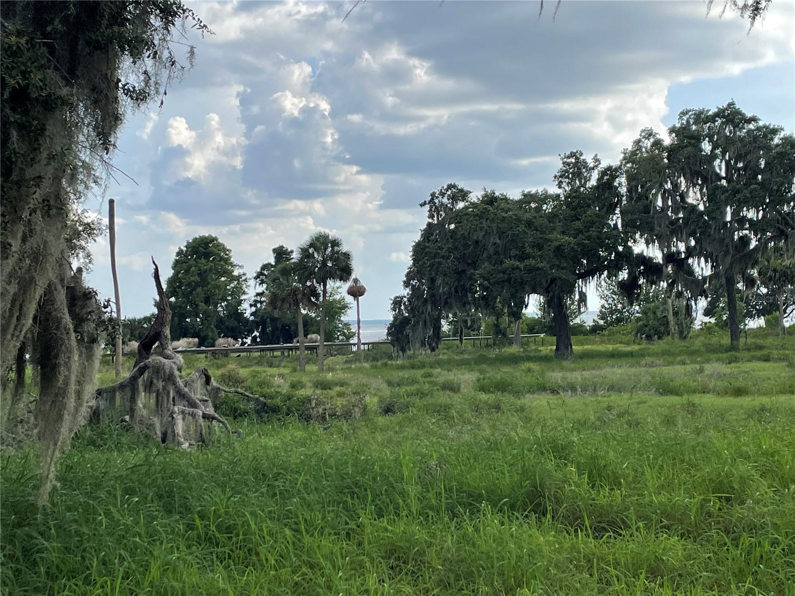 32311 ANGLERS AVE, LEESBURG, FL — photo 14
