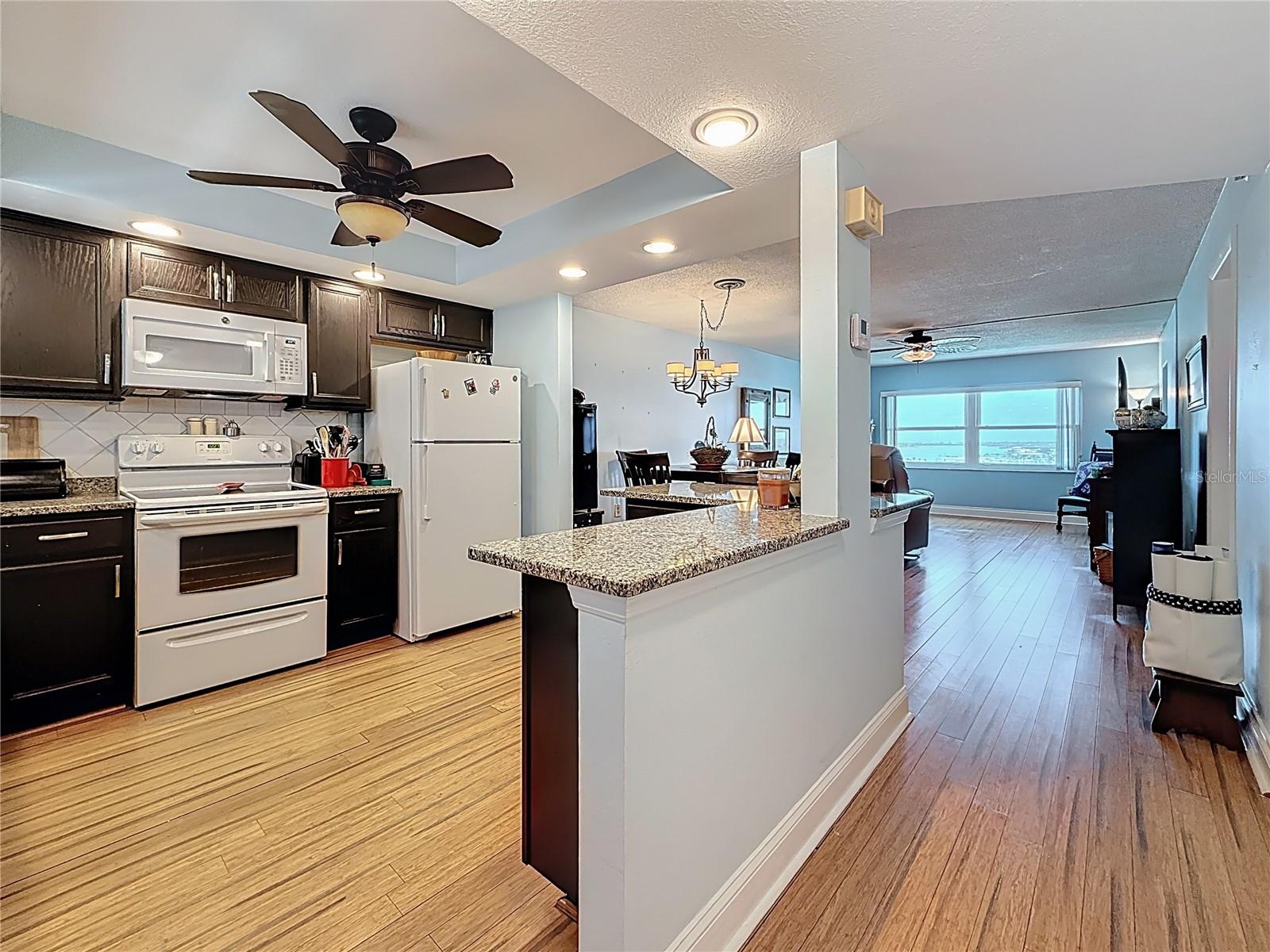 4725 COVE CIRCLE #908, ST PETERSBURG, FL — photo 13