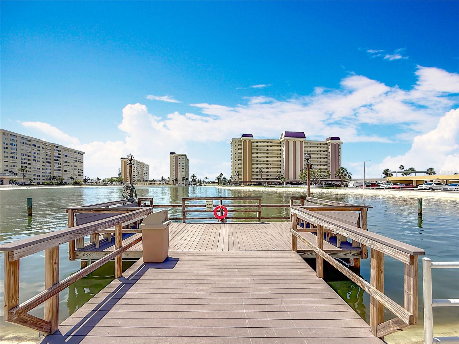 4725 COVE CIRCLE #908, ST PETERSBURG, FL — photo 39