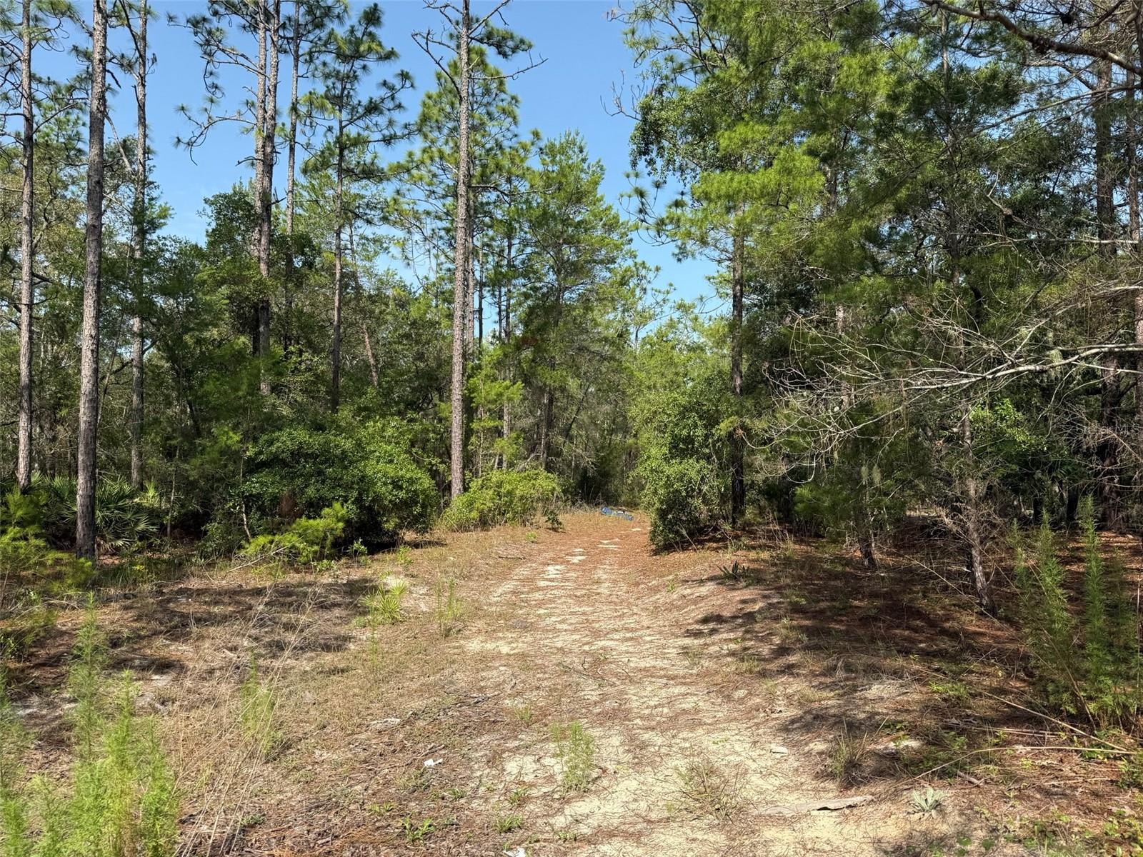 101 WASHINGTON AVE, SATSUMA, FL