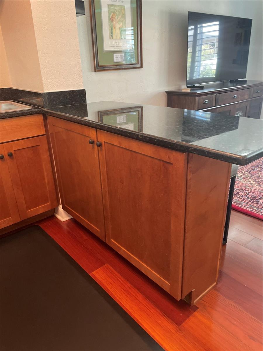 210 5TH AVE S #209, ST PETERSBURG, FL — photo 8