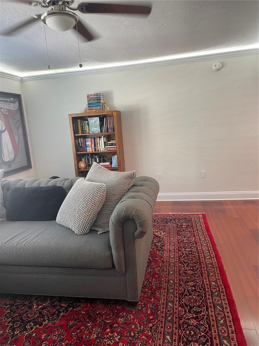 210 5TH AVE S #209, ST PETERSBURG, FL — photo 19