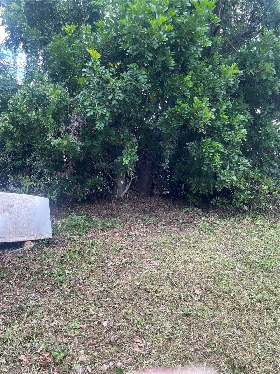 2445 WEBBER ST, SARASOTA, FL — photo 13