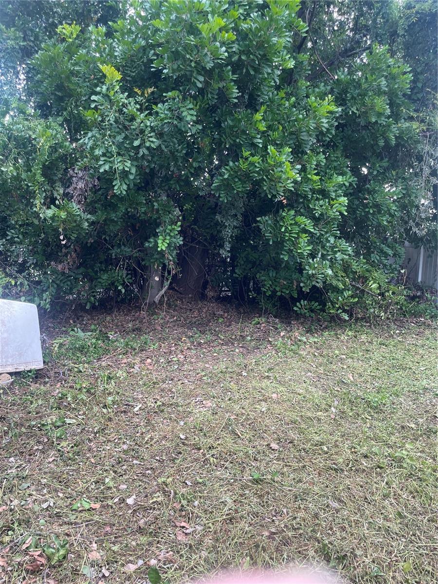 2445 WEBBER ST, SARASOTA, FL — photo 14