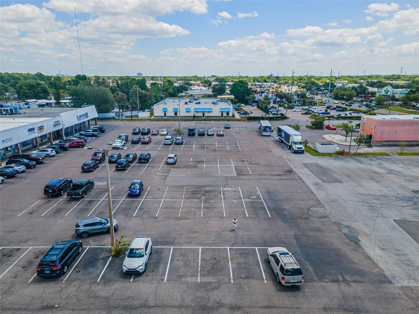 7430 PALM RIVER RD, TAMPA, FL — photo 10
