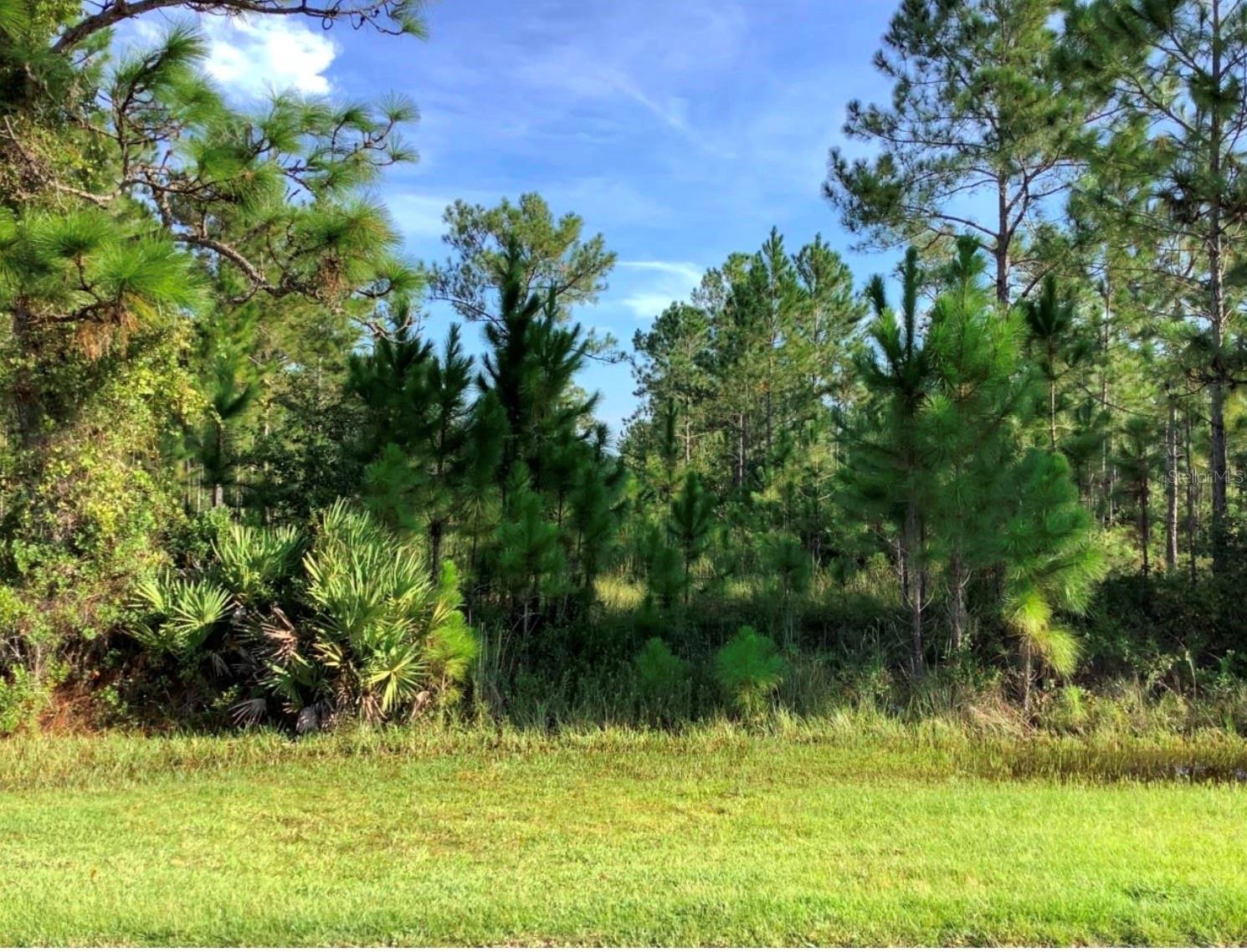 SABAL ST, ORLANDO, FL