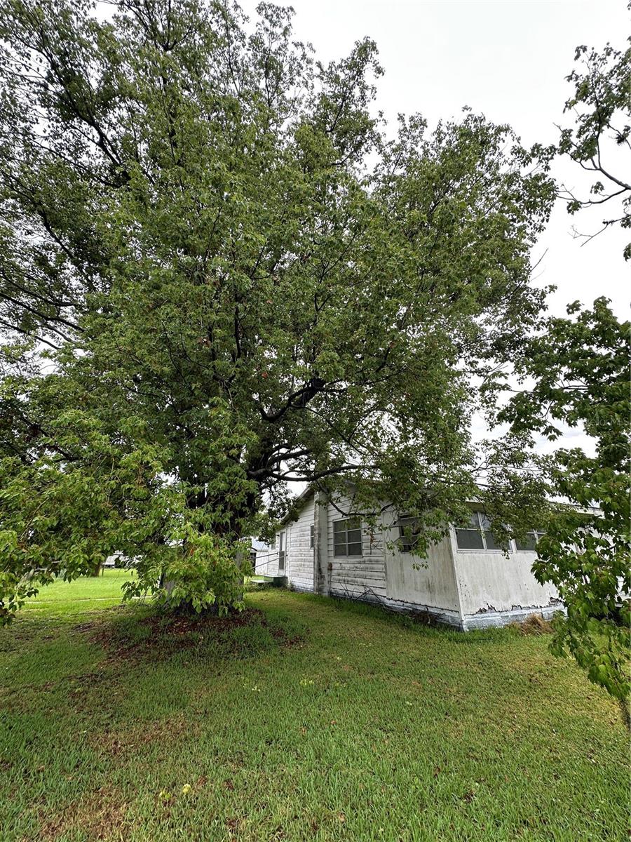 1886 PLEASANT HILL RD, KISSIMMEE, FL — photo 9