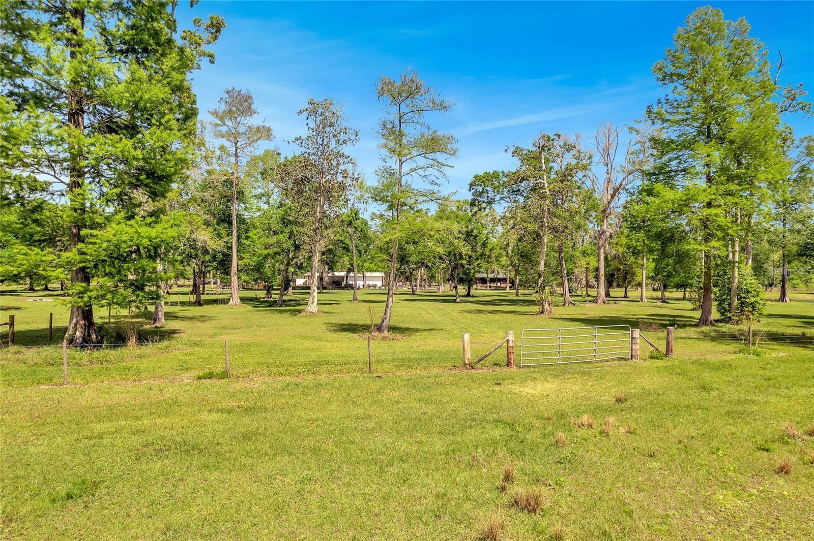 TBD CORKWOOD LN, ASTATULA, FL — photo 4