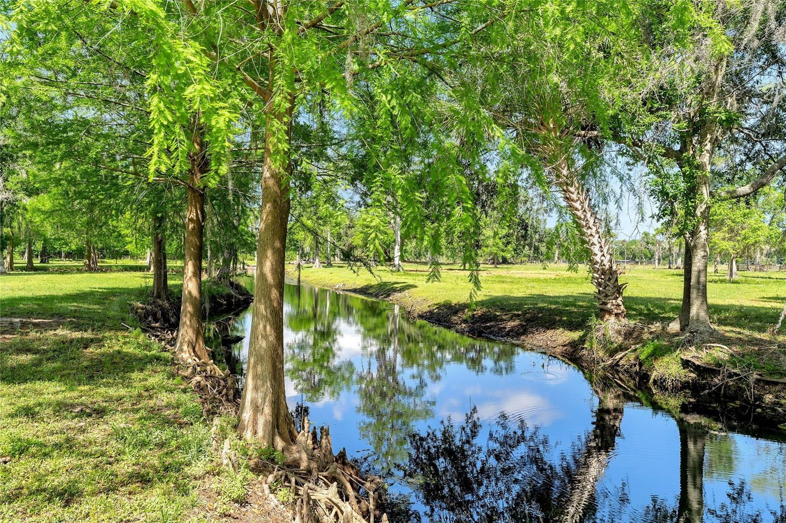 TBD CORKWOOD LN, ASTATULA, FL — photo 15