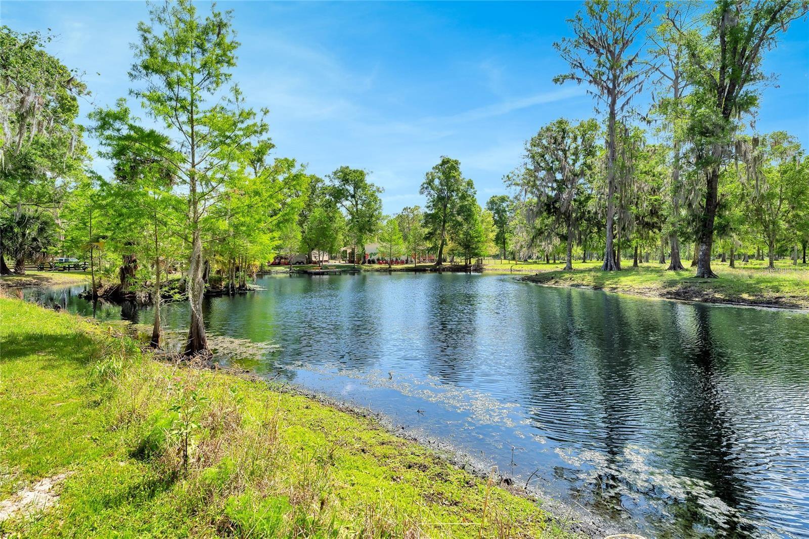 TBD CORKWOOD LN, ASTATULA, FL — photo 13