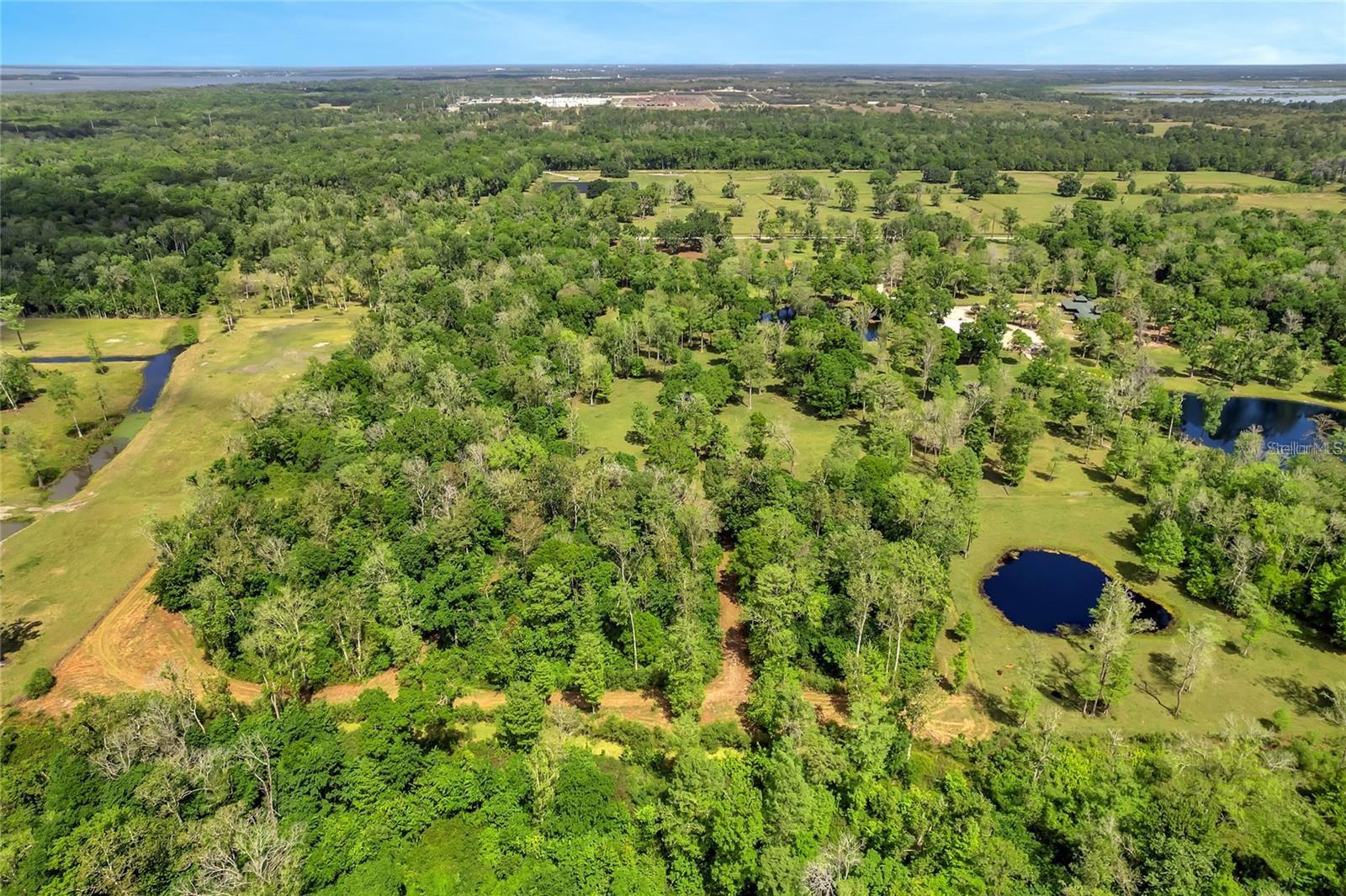 TBD CORKWOOD LN, ASTATULA, FL — photo 20