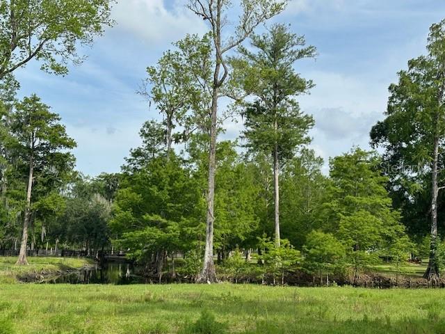 TBD CORKWOOD LN, ASTATULA, FL — photo 28