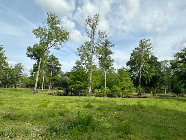 TBD CORKWOOD LN, ASTATULA, FL — photo 30
