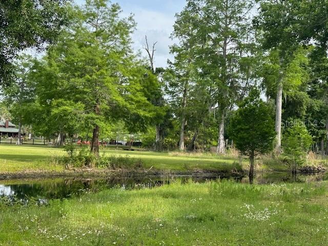 TBD CORKWOOD LN, ASTATULA, FL — photo 34