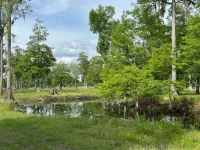 TBD CORKWOOD LN — photo 36