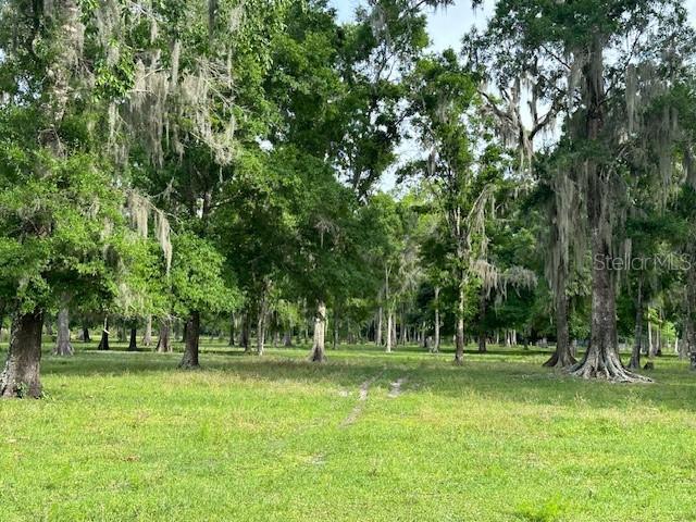 TBD CORKWOOD LN, ASTATULA, FL — photo 37