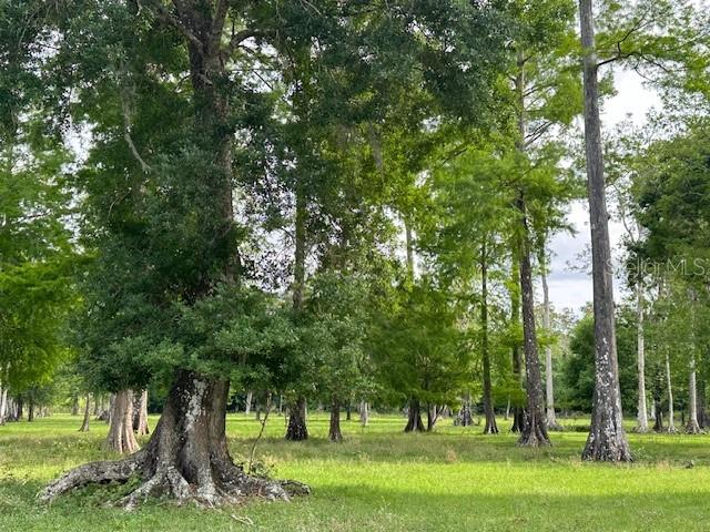 TBD CORKWOOD LN, ASTATULA, FL — photo 39