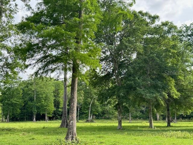 TBD CORKWOOD LN, ASTATULA, FL — photo 43
