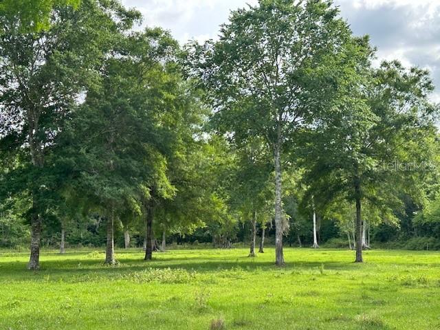 TBD CORKWOOD LN, ASTATULA, FL — photo 46