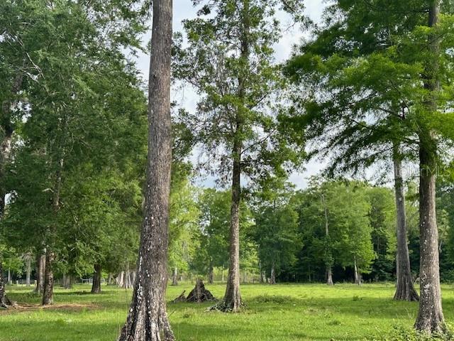 TBD CORKWOOD LN, ASTATULA, FL — photo 47