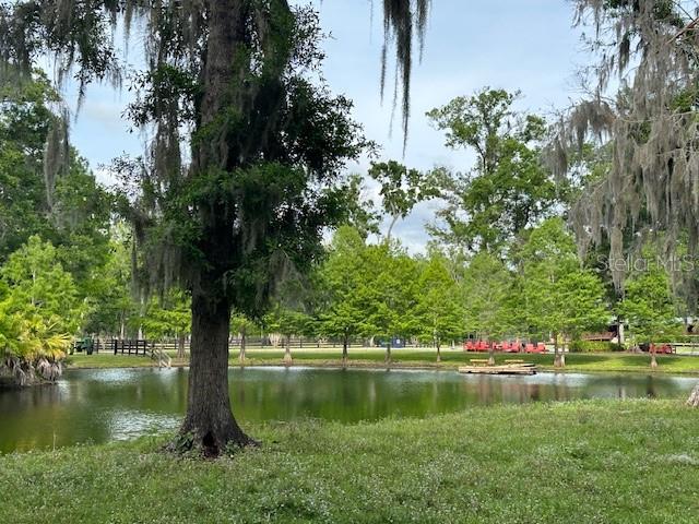 TBD CORKWOOD LN, ASTATULA, FL — photo 52