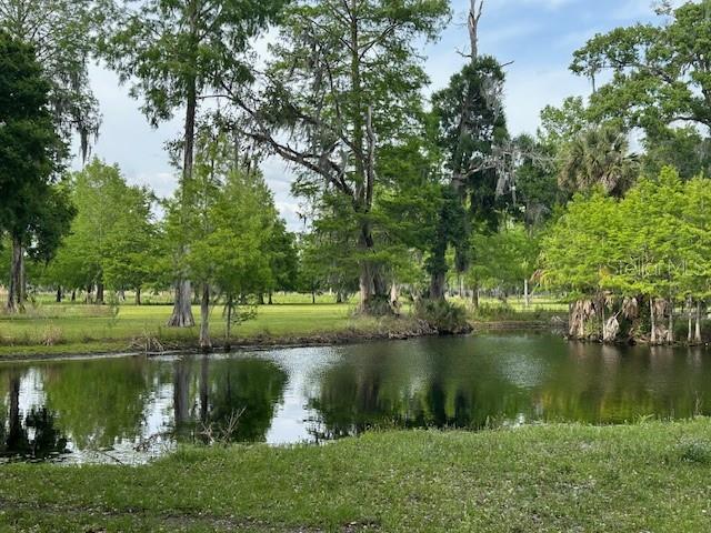 TBD CORKWOOD LN, ASTATULA, FL — photo 54