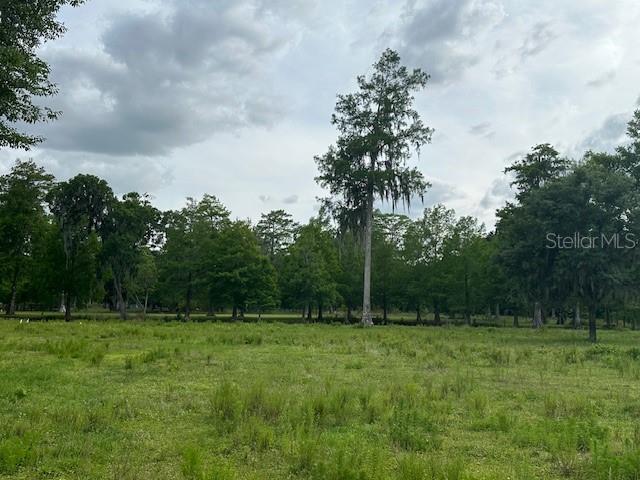 TBD CORKWOOD LN, ASTATULA, FL — photo 68