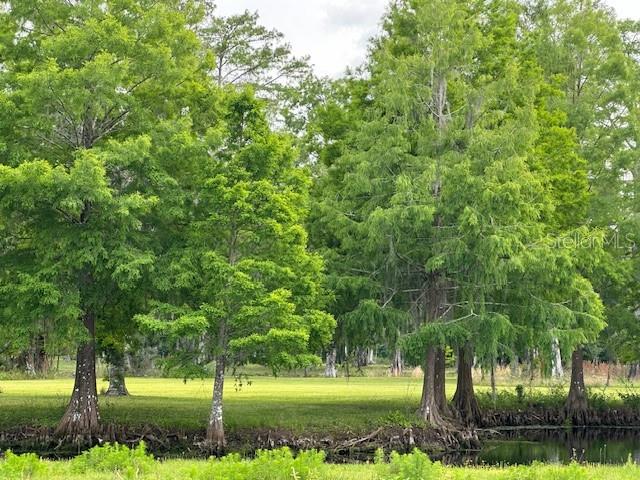 TBD CORKWOOD LN, ASTATULA, FL — photo 69