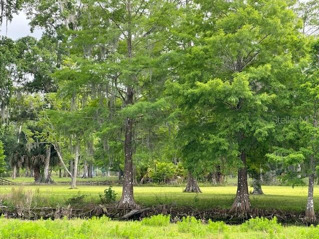 TBD CORKWOOD LN, ASTATULA, FL — photo 71